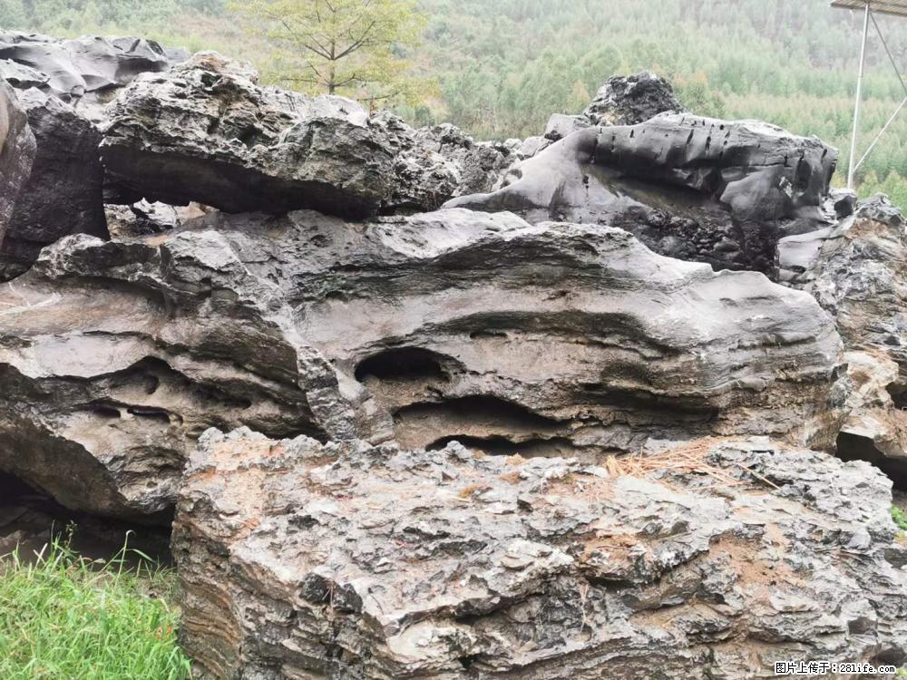 风景石、假山石大量有货，有需要的欢迎联系 - 新手上路 - 宿州生活社区 - 宿州28生活网 suzhou.28life.net