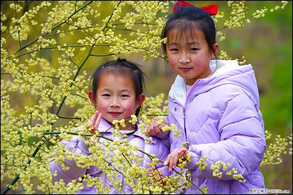 【春天，广西桂林灌阳县向您发出邀请！】米珠山前有片山苍子花在飘香 - 游山玩水 - 宿州生活社区 - 宿州28生活网 suzhou.28life.net