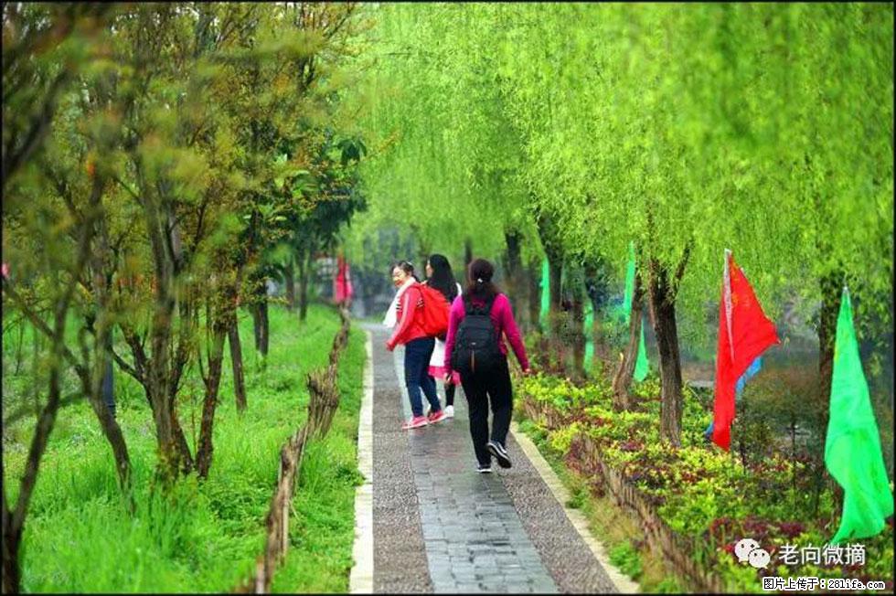 【春天，广西桂林灌阳县向您发出邀请！】江口老街又逢春 - 游山玩水 - 宿州生活社区 - 宿州28生活网 suzhou.28life.net