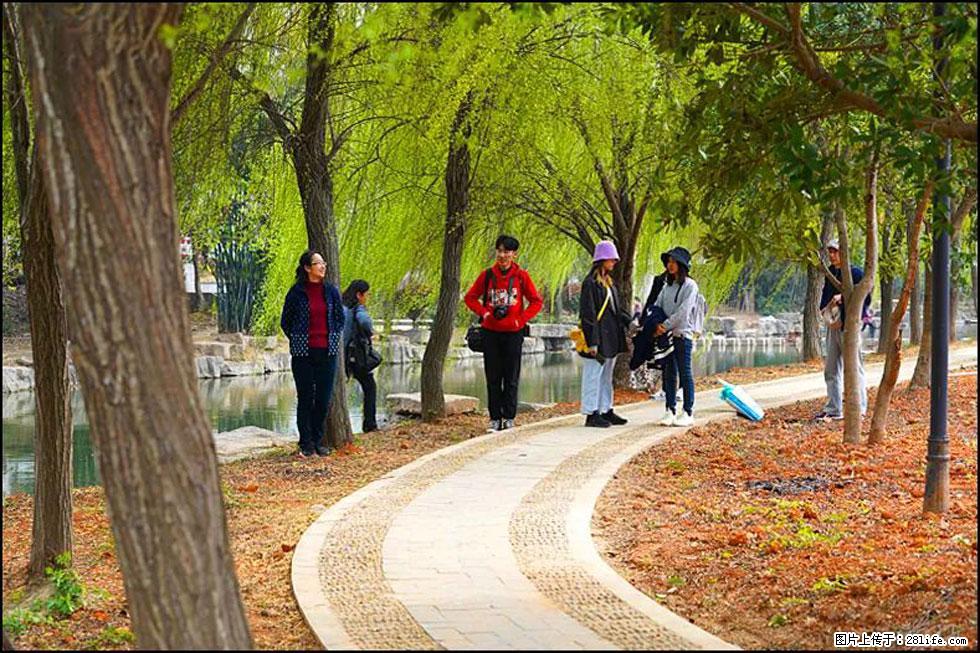 【春天，广西桂林灌阳县向您发出邀请！】江口老街又逢春 - 游山玩水 - 宿州生活社区 - 宿州28生活网 suzhou.28life.net