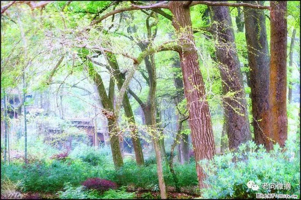 【春天，广西桂林灌阳县向您发出邀请！】在小龙村与春天约会 - 游山玩水 - 宿州生活社区 - 宿州28生活网 suzhou.28life.net
