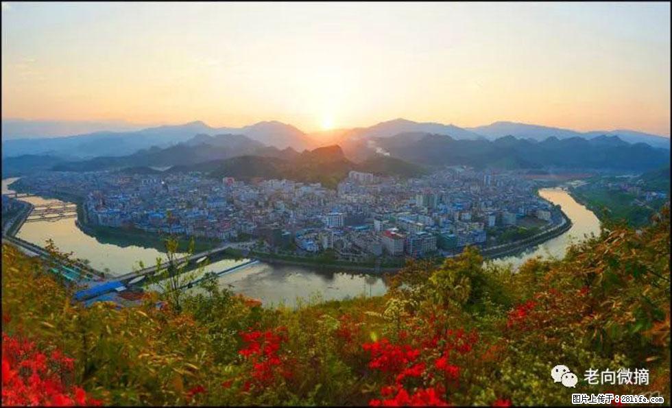【春天，广西桂林灌阳县向您发出邀请！】登麒麟山，相约映山红 - 游山玩水 - 宿州生活社区 - 宿州28生活网 suzhou.28life.net