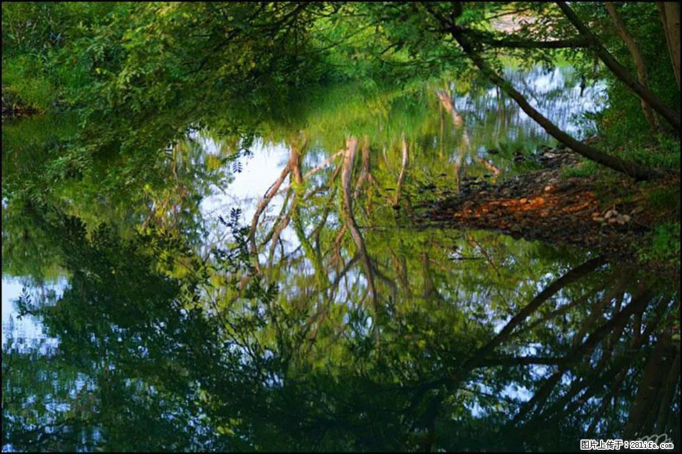 【春天，广西桂林灌阳县向您发出邀请！】熊家寨湿地公园 - 游山玩水 - 宿州生活社区 - 宿州28生活网 suzhou.28life.net