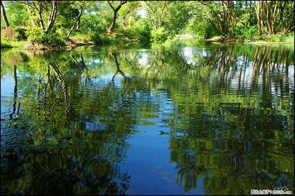 【春天，广西桂林灌阳县向您发出邀请！】熊家寨湿地公园 - 游山玩水 - 宿州生活社区 - 宿州28生活网 suzhou.28life.net