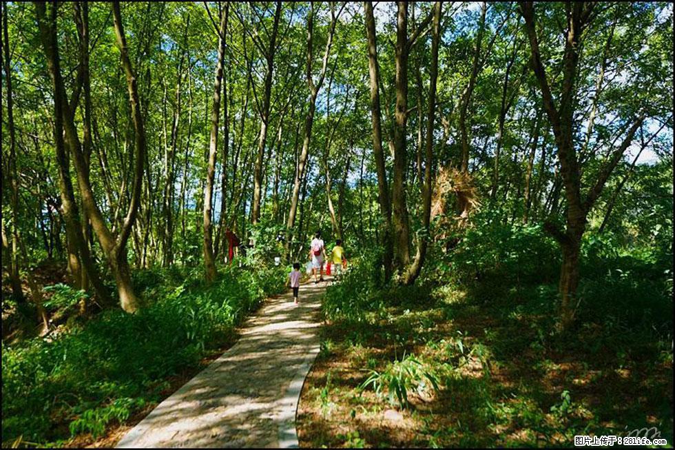 【春天，广西桂林灌阳县向您发出邀请！】熊家寨湿地公园 - 游山玩水 - 宿州生活社区 - 宿州28生活网 suzhou.28life.net