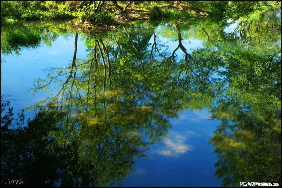 【春天，广西桂林灌阳县向您发出邀请！】熊家寨湿地公园 - 游山玩水 - 宿州生活社区 - 宿州28生活网 suzhou.28life.net