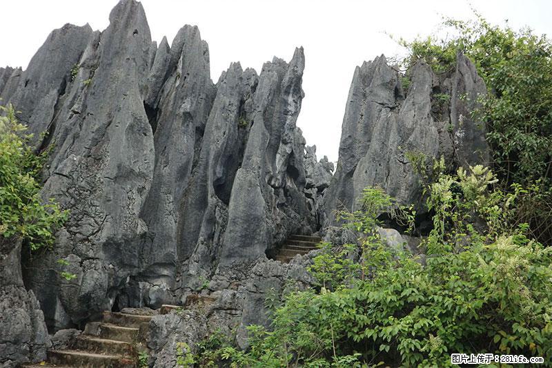桂林旅游名城景点：灌阳文市石林 - 游山玩水 - 宿州生活社区 - 宿州28生活网 suzhou.28life.net