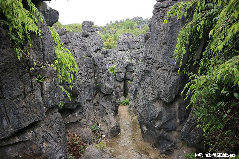 桂林旅游名城景点：灌阳文市石林 - 游山玩水 - 宿州生活社区 - 宿州28生活网 suzhou.28life.net