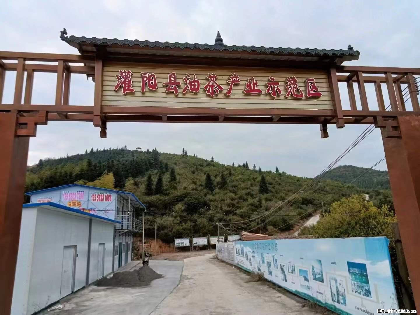 【灌阳县油茶产业示范区】一个有着充实的精神生活的人，对待身外之物自会有一种淡泊的态度 - 土特产 - 饮食特产 - 宿州分类信息 - 宿州28生活网 suzhou.28life.net
