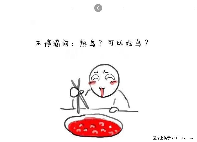 千万不要和这9种哈卵一起吃火锅！ - 美食天地 - 宿州生活社区 - 宿州28生活网 suzhou.28life.net