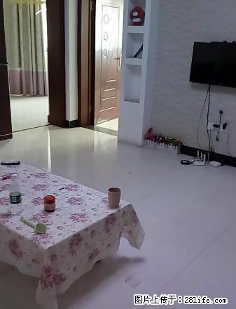 金街世纪佳苑 精装两室出租 1100/月 - 房屋出租 - 房屋租售 - 宿州分类信息 - 宿州28生活网 suzhou.28life.net