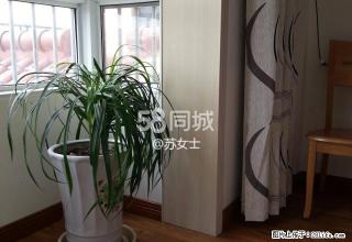 上河城多层 2室2厅1卫 - 宿州28生活网 suzhou.28life.net