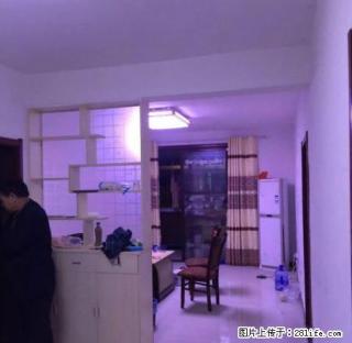 实验小学对面安粮一期精装房2室2厅1卫 - 宿州28生活网 suzhou.28life.net