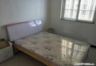 千亩园西区两室急租，拎包入住精装修看房方便 - 宿州28生活网 suzhou.28life.net