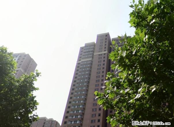 宋园小区 精装拎包住 政务新区 华夏世贸磬云大市场旁 汴河路 - 房屋出租 - 房屋租售 - 宿州分类信息 - 宿州28生活网 suzhou.28life.net