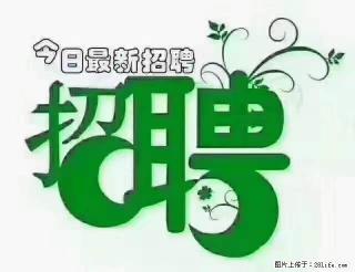 【招聘摄像师】待遇：试用期6000元/月，转正7000元/月+五险一金+餐补+节日福利+奖金 - 宿州28生活网 suzhou.28life.net