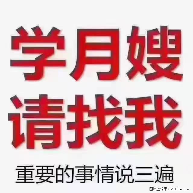 【招聘】月嫂，上海徐汇区 - 职场交流 - 宿州生活社区 - 宿州28生活网 suzhou.28life.net