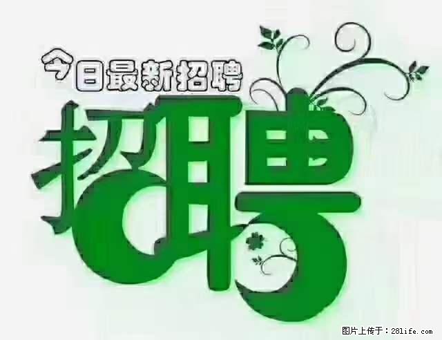 上海隔离酒店招人：55岁以下 男女不限 - 职场交流 - 宿州生活社区 - 宿州28生活网 suzhou.28life.net