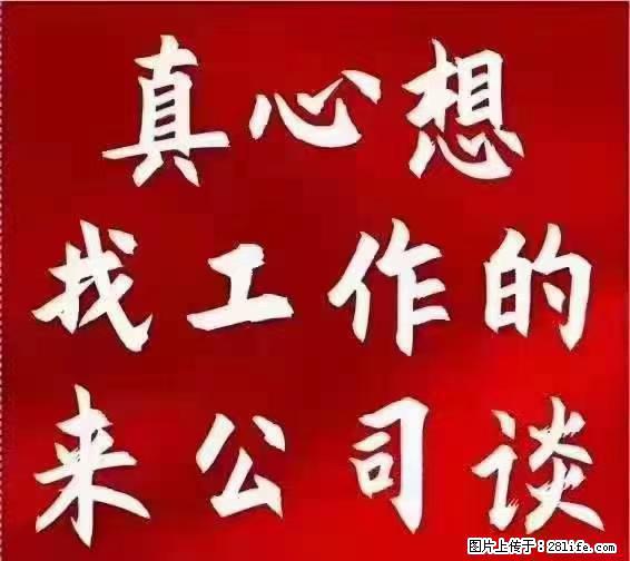 【上海】国企，医院招两名男保安，55岁以下，身高1.7米以上，无犯罪记录不良嗜好 - 职场交流 - 宿州生活社区 - 宿州28生活网 suzhou.28life.net