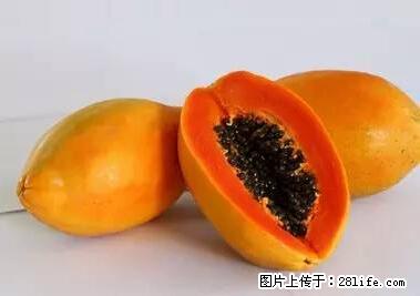 晕车、脚气、牙齿变黄、皮肤粗糙？学会这些三分钟搞定！ - 宿州生活资讯 - 宿州28生活网 suzhou.28life.net