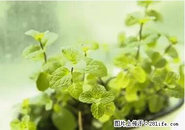晕车、脚气、牙齿变黄、皮肤粗糙？学会这些三分钟搞定！ - 宿州生活资讯 - 宿州28生活网 suzhou.28life.net