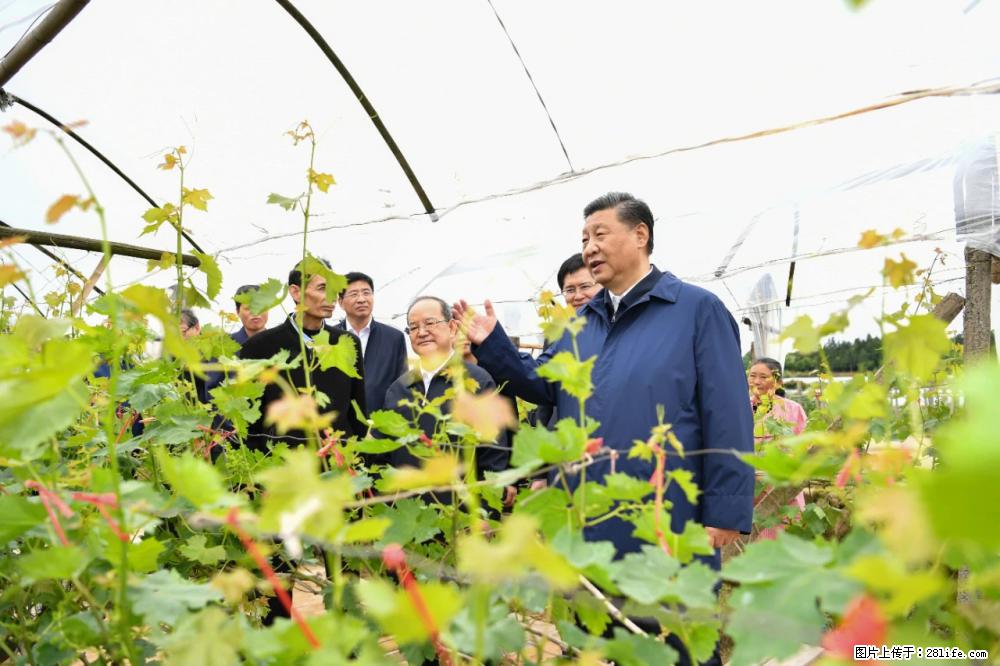 习近平赴广西考察调研 - 宿州生活资讯 - 宿州28生活网 suzhou.28life.net