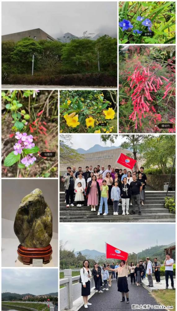 “粤灌文化 美好生活”油茶文化主题活动在广东深圳成功举办 - 宿州生活资讯 - 宿州28生活网 suzhou.28life.net