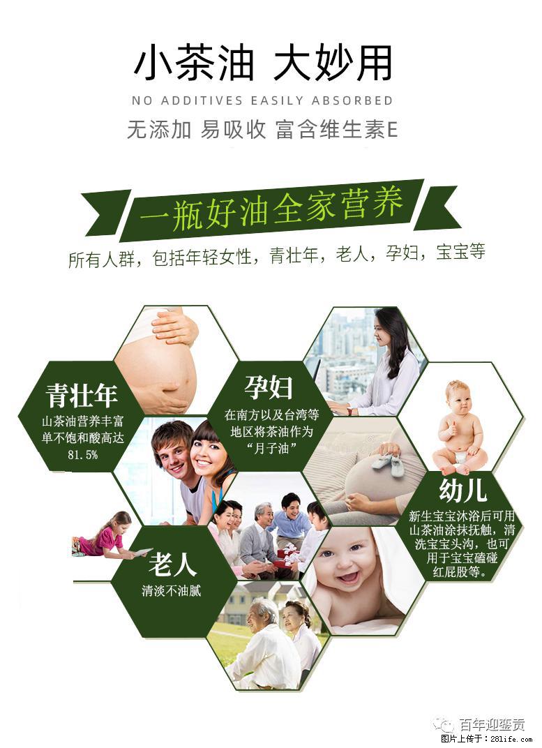 世界没有真相，只有认知，最好的食用油是中国的山茶油！ - 宿州生活资讯 - 宿州28生活网 suzhou.28life.net