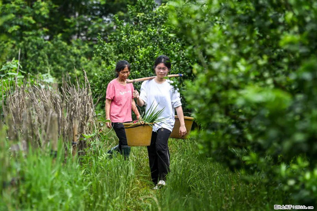 全网追的“扁担女孩”，找了一份暑假工，时薪12元 - 宿州生活资讯 - 宿州28生活网 suzhou.28life.net