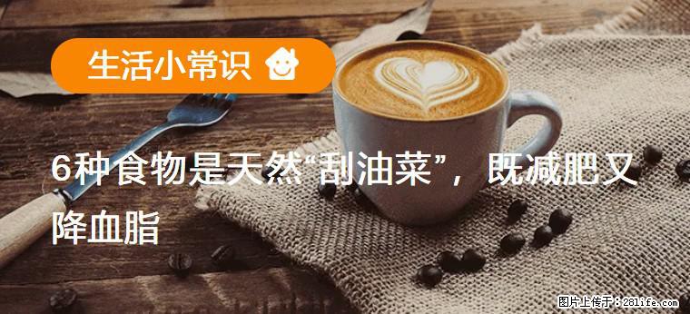 【生活小常识】6种食物是天然“刮油菜”，既减肥又降血脂 - 宿州生活资讯 - 宿州28生活网 suzhou.28life.net