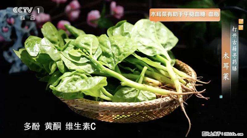 比牛奶补钙还厉害！凉血解毒、稳血糖...这菜冬天必吃，很多人却当草 - 宿州生活资讯 - 宿州28生活网 suzhou.28life.net