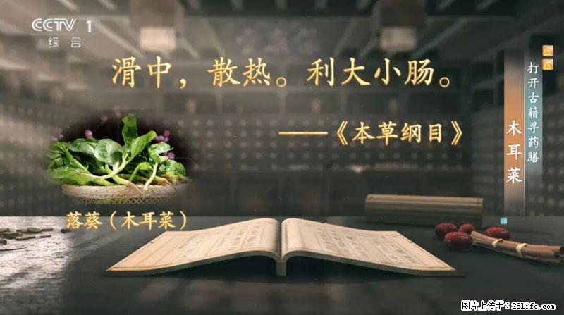 比牛奶补钙还厉害！凉血解毒、稳血糖...这菜冬天必吃，很多人却当草 - 宿州生活资讯 - 宿州28生活网 suzhou.28life.net