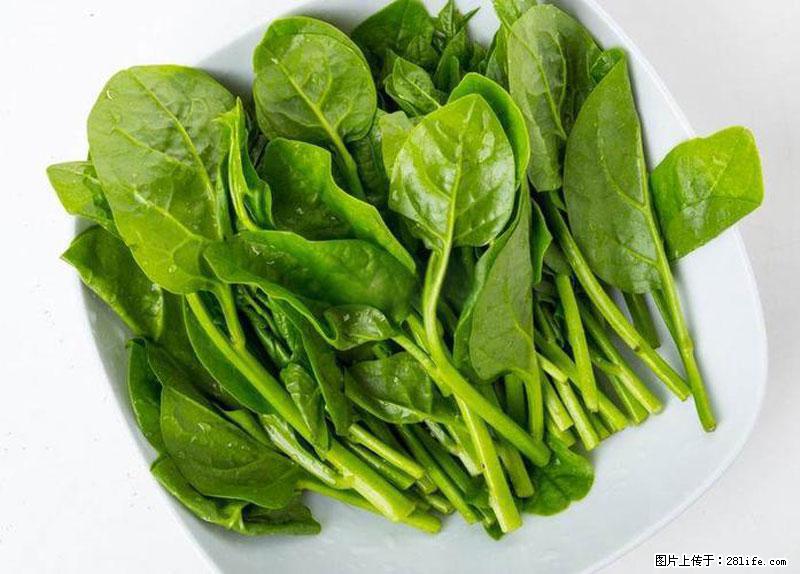 这些蔬菜是“天然钙片”，这6种被医生重点推荐 - 宿州生活资讯 - 宿州28生活网 suzhou.28life.net
